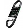 COURROIE DAYCO QUAD XTREME
