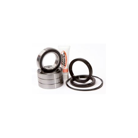 Kit roulements de roue arrière Pivot Works 450 LTR
