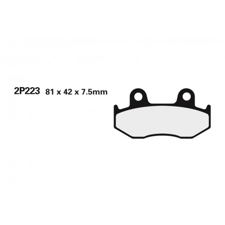 Plaquettes de frein NISSIN 2P-223GS semi-métallique