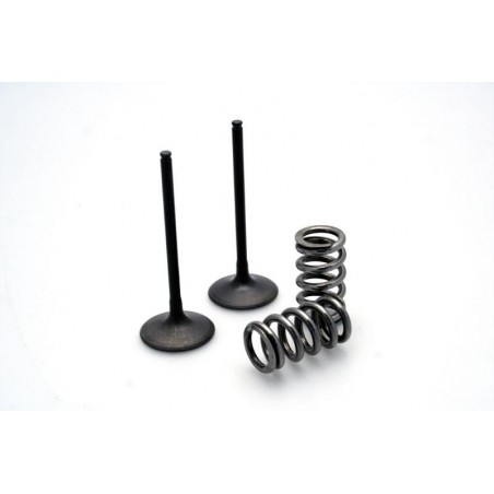 KIT SOUPAPES D'ECHAPPEMENT ACIER KXF450 '06-08