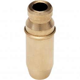 Guide de soupape KIBBLEWHITE 450 LTR