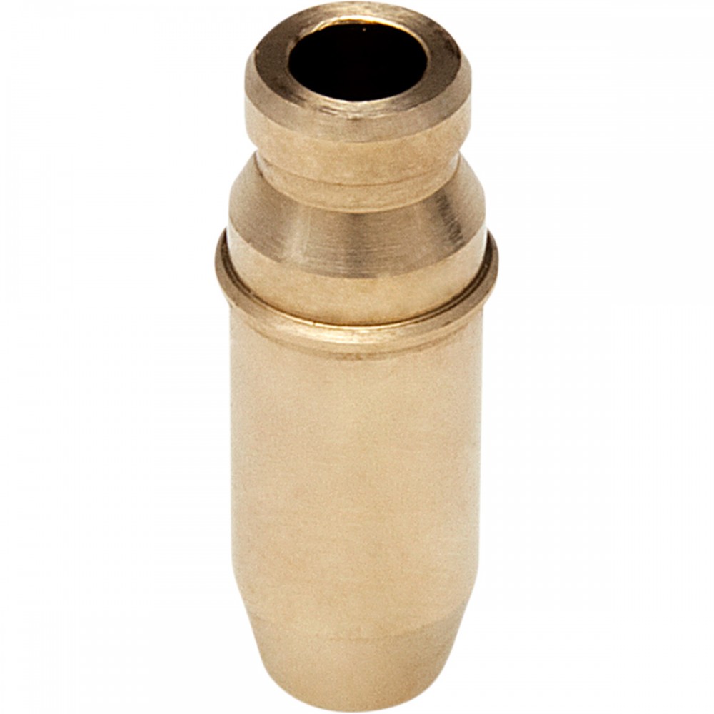 Guide de soupape KIBBLEWHITE 450 LTR