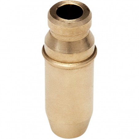 Guide de soupape KIBBLEWHITE 450 LTR