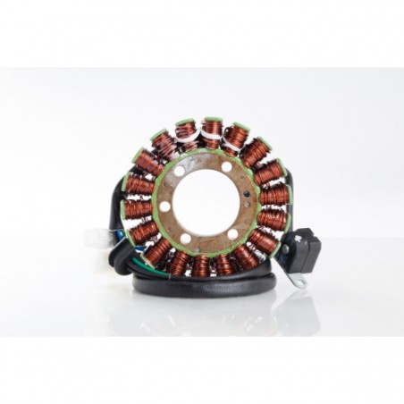 Stator Rick's Motorsport Electrics