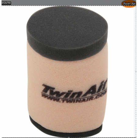 Filtre a air twin air