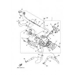 CARTER D'ACCELERATEUR 1