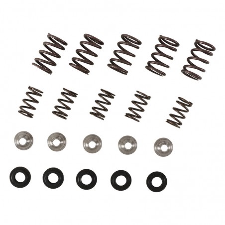 Kit de ressort de soupape Hot Cams