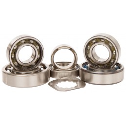 Kit de roulements de transmission Hot Rods 450 yfz