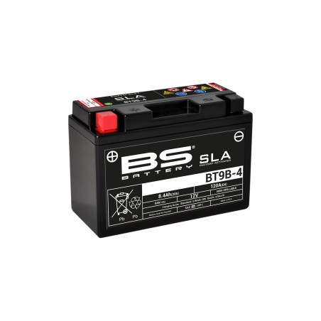 Batteries sans entretien AGM SLA prêtes à l’emploi