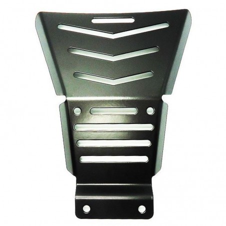 PROTECTION FRONTALE POUR 700 RAPTOR