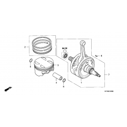 VILEBREQUIN/PISTON