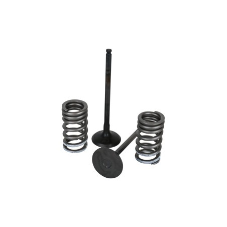 VALVE KT GB KX450F 06-08