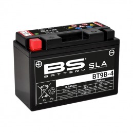 Batterie BS BATTERY SLA...