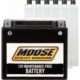 BATTERY MAINTENANCE-FREE