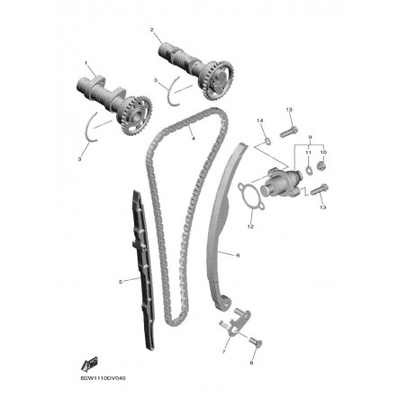 CAMSHAFT & CHAIN