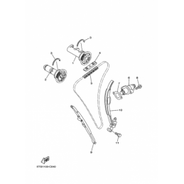 CAMSHAFT & CHAIN