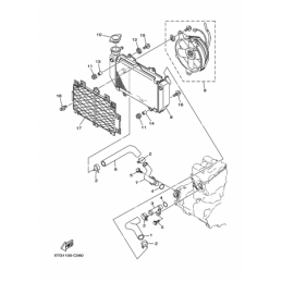 RADIATOR & HOSE