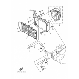 RADIATOR & HOSE