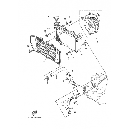 RADIATOR & HOSE