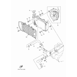 RADIATOR & HOSE