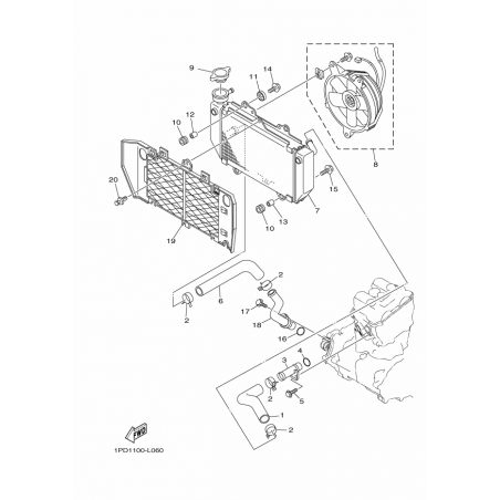 RADIATOR & HOSE