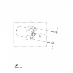 STARTING MOTOR