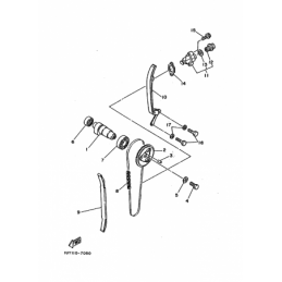 CAMSHAFT & CHAIN