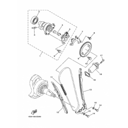 CAMSHAFT & CHAIN