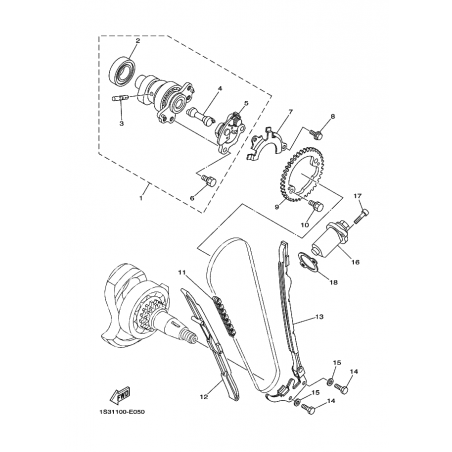 CAMSHAFT & CHAIN