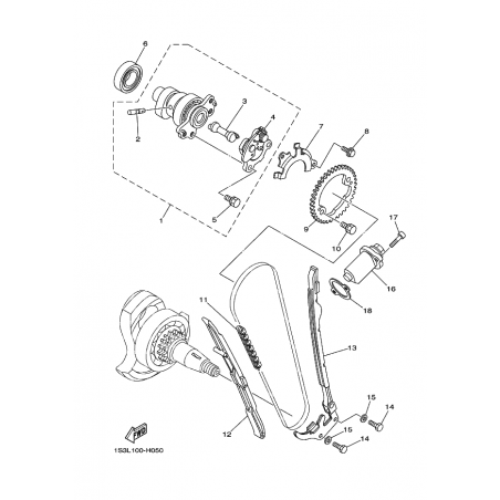 CAMSHAFT & CHAIN