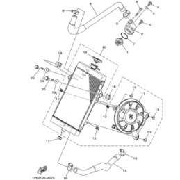 RADIATOR & HOSE