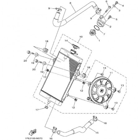 RADIATOR & HOSE