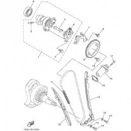 CAMSHAFT & CHAIN