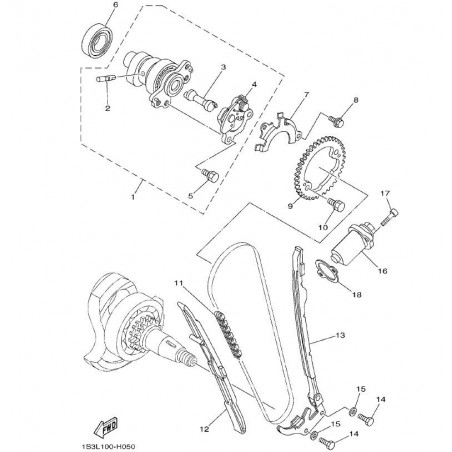 CAMSHAFT & CHAIN