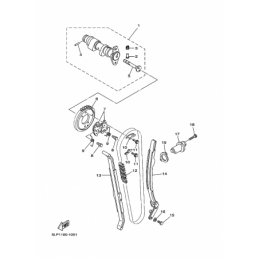 CAMSHAFT & CHAIN