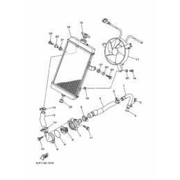 RADIATOR & HOSE