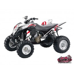 KIT DÉCO QUAD SPIRIT HONDA...