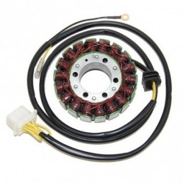 Stator ELECTROSPORT -...