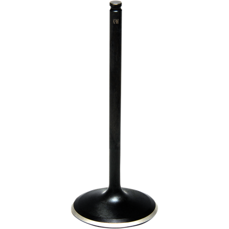 SOUPAPE D'ADMISSION RZR 1000