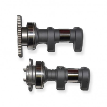 ARBRE A CAME WEBCAM TAILLE DANS LA MASSE KAWASAKI KFX 450