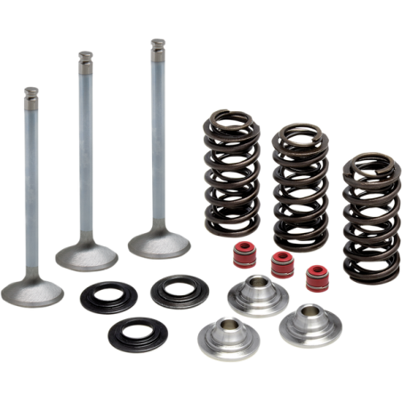 Kit de conversion de soupapes et ressorts en acier inoxydable
