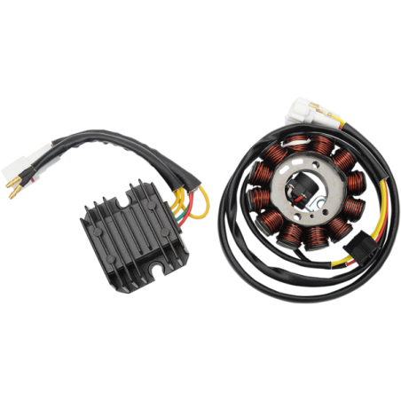 Stator Ricks électrique Yamaha yfz