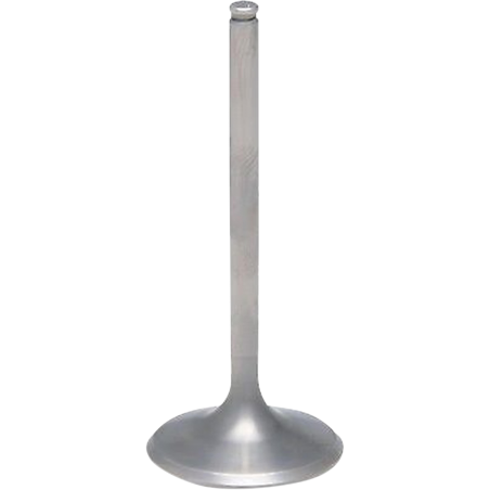 Soupape admission TRX450R 06-14