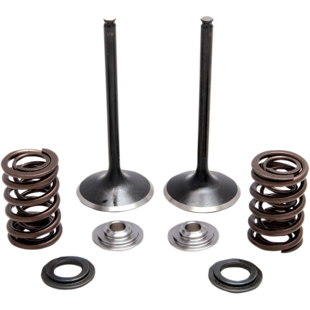 Kit de conversion de soupapes TRX450R 04-05