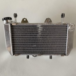 RADIATEUR IROD POUR YFZR