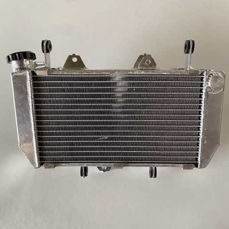RADIATEUR IROD POUR 450 LTR 2006-2009