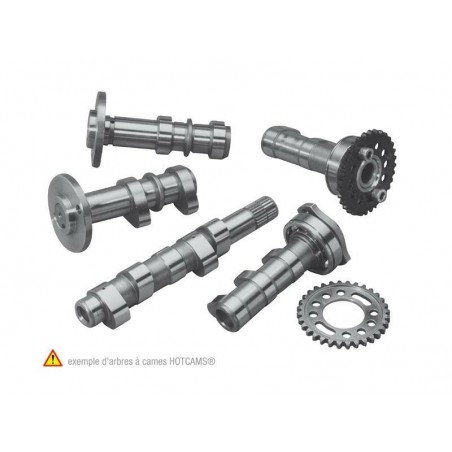 Kit arbre à cames HOT CAMS - Niveau 2 Yamaha YFZ450R