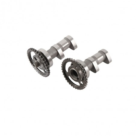 Kit d'arbres à cames HOT CAMS - Niveau 1 Suzuki LT-R450
