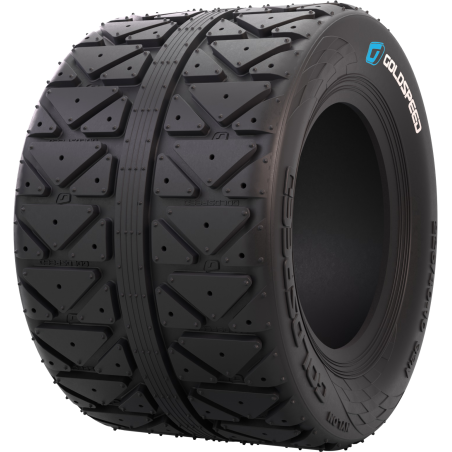 GOLDSPEED ARRIERE  225-40-10 32N C-9203