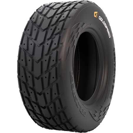 GOLDSPEED AVANT 165/70-10 27N C-9205